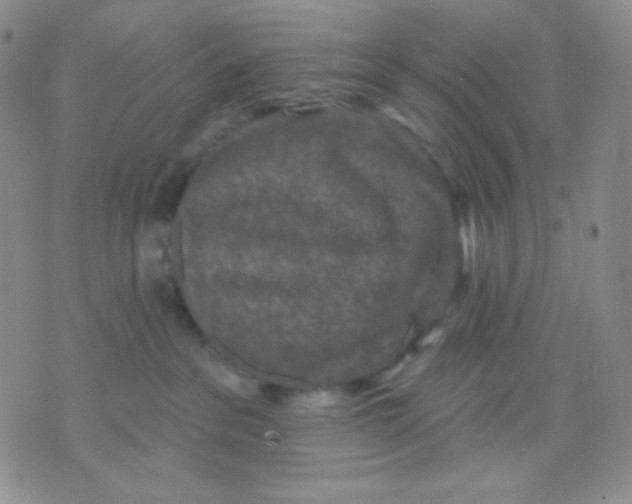 X0000071850237200607211900