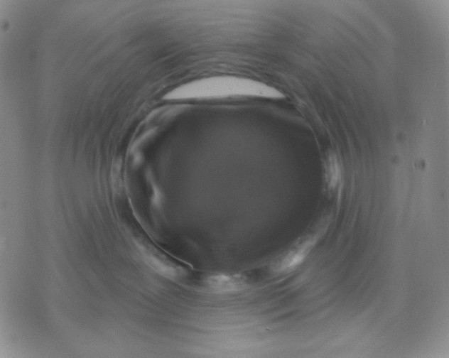 X0000071850239200607211900