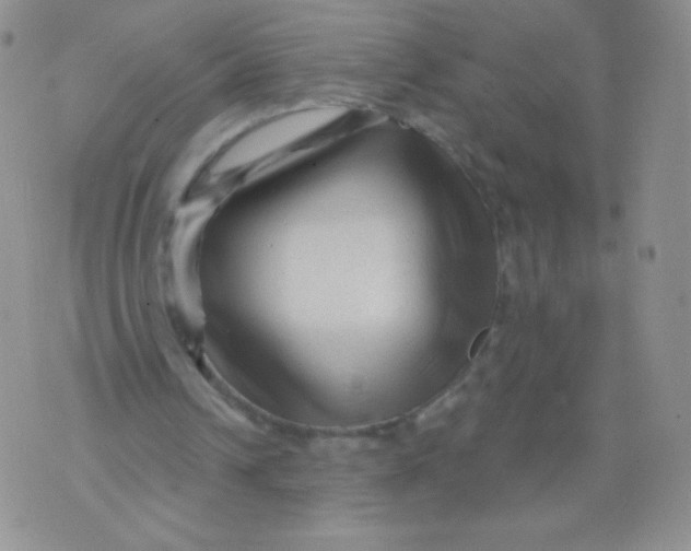 X0000071850242200607211859