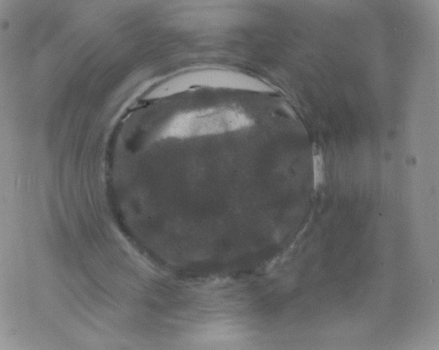 X0000071850243200607211859