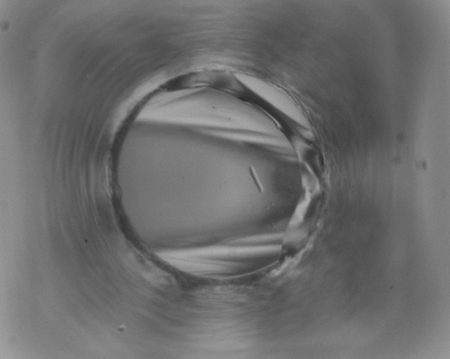 X0000071850244200607211859