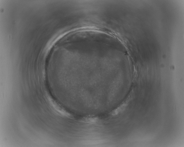 X0000071850247200607211859