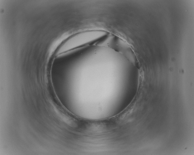 X0000071850248200607211859