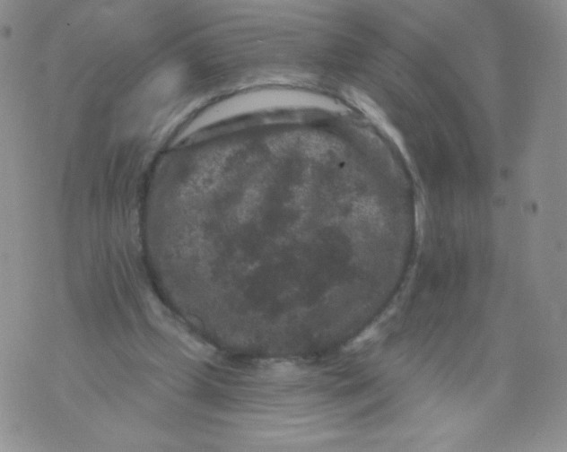 X0000071850249200607211859