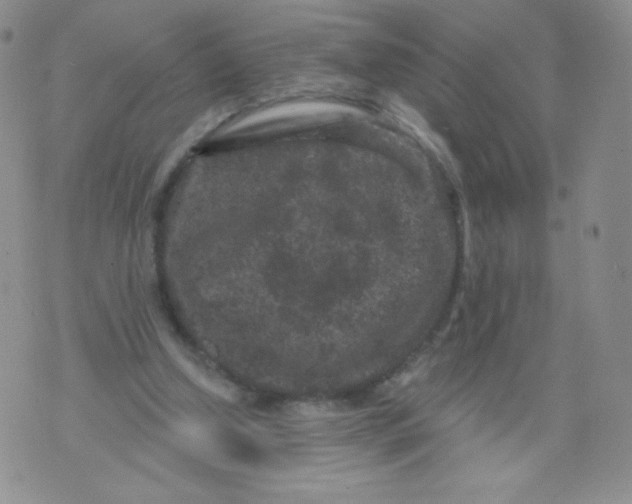 X0000071850250200607211859