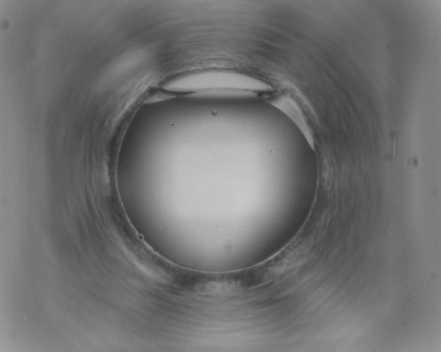 X0000071850251200607211859