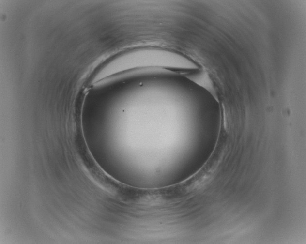 X0000071850252200607211859