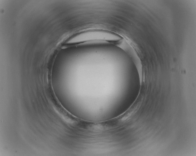 X0000071850253200607211859