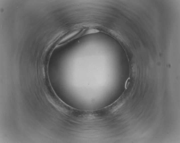 X0000071850254200607211859