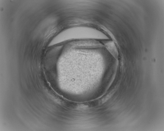 X0000071850257200607211859