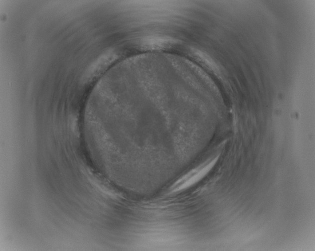 X0000071850258200607211859