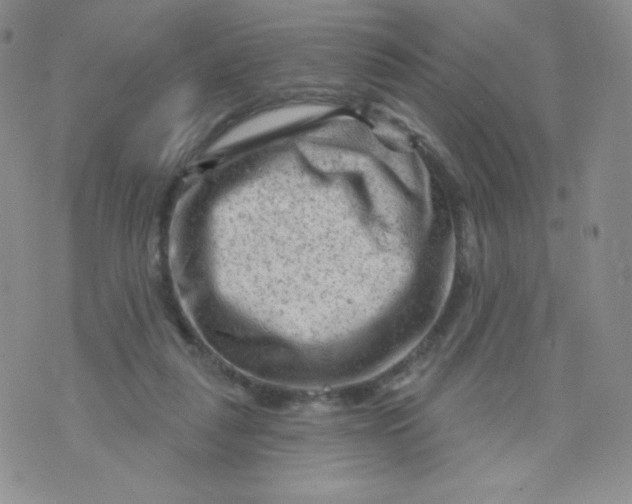 X0000071850259200607211859