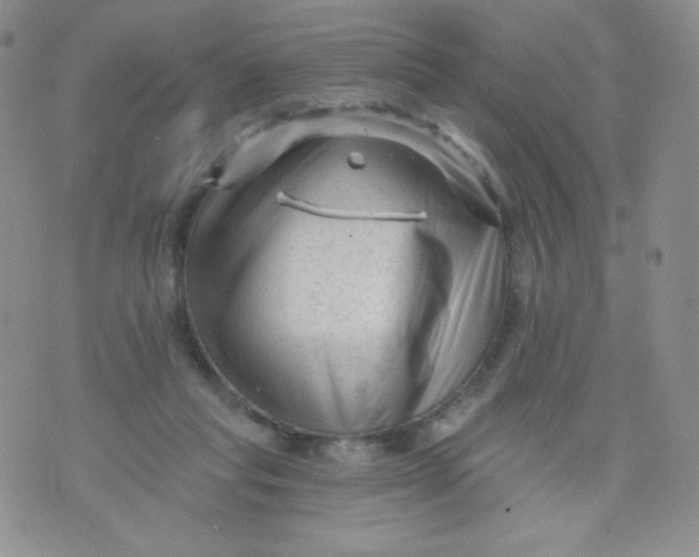 X0000071850261200607211859