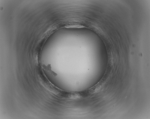 X0000071850262200607211859