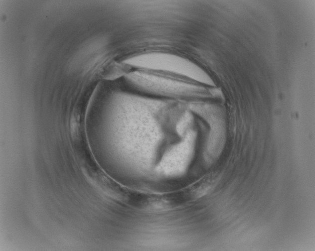 X0000071850263200607211859