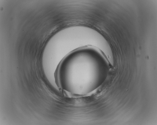 X0000071850264200607211859