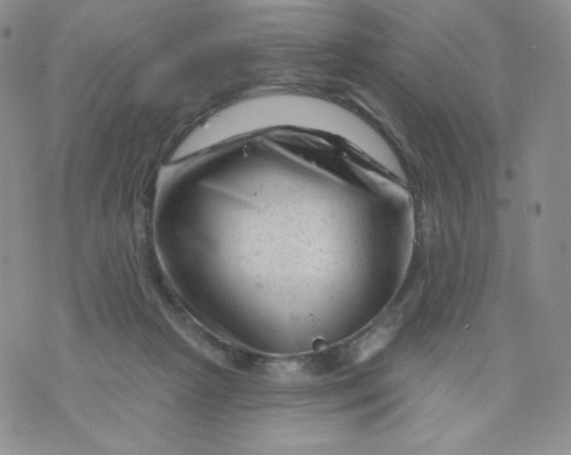 X0000071850265200607211859