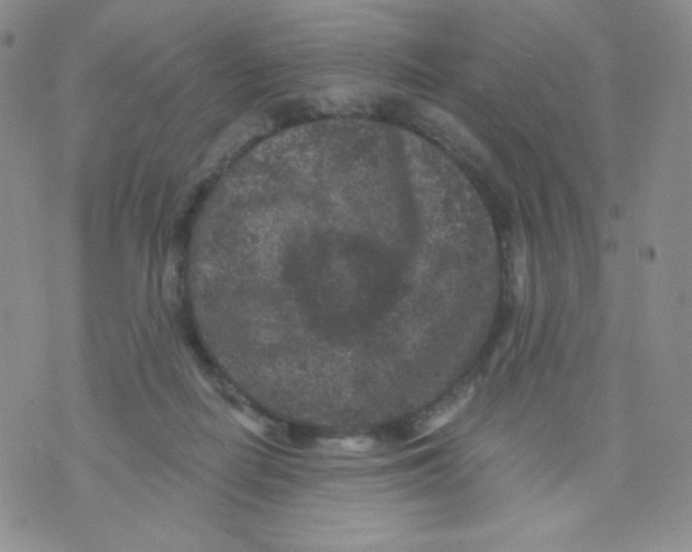 X0000071850266200607211859