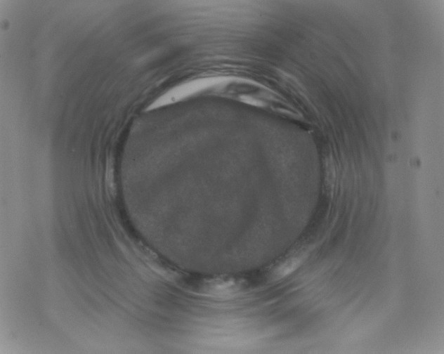 X0000071850267200607211859