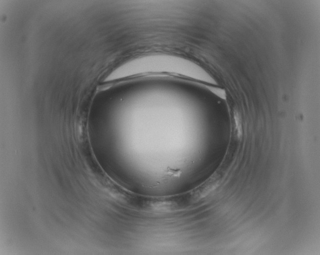 X0000071850268200607211859