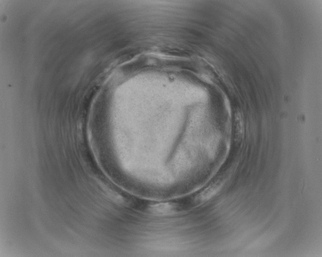 X0000071850269200607211859