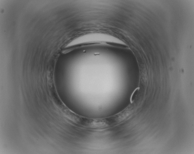 X0000071850270200607211859