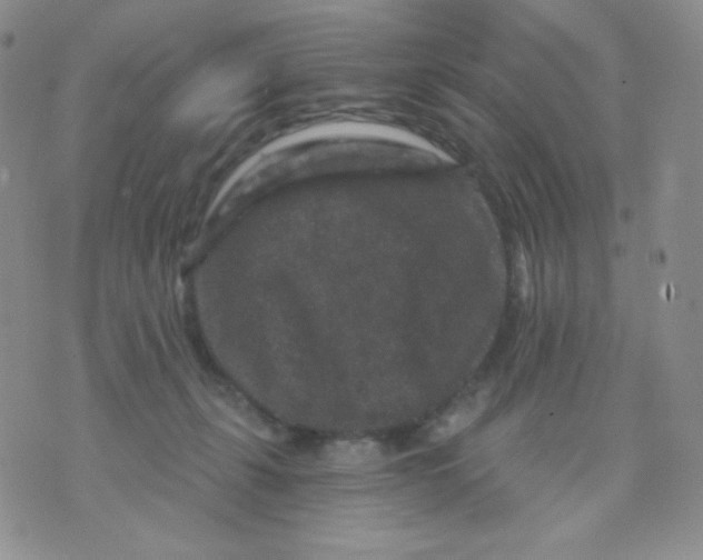 X0000071850271200607211900