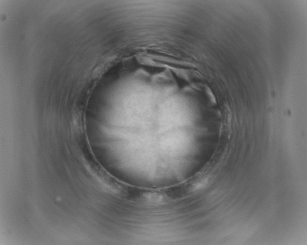 X0000071850272200607211900