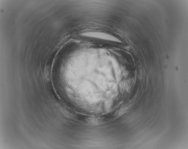 X0000071850273200607211900