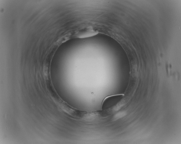 X0000071850274200607211900