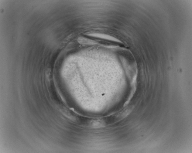 X0000071850275200607211900