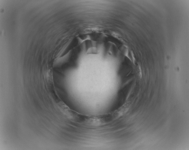 X0000071850276200607211900