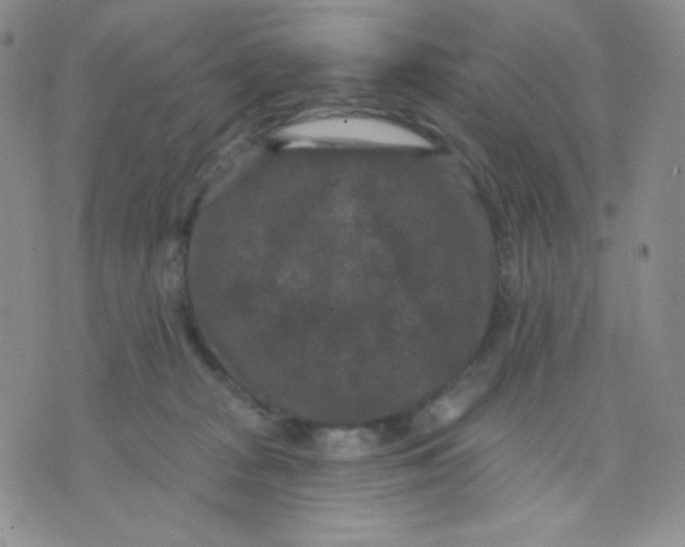 X0000071850277200607211900