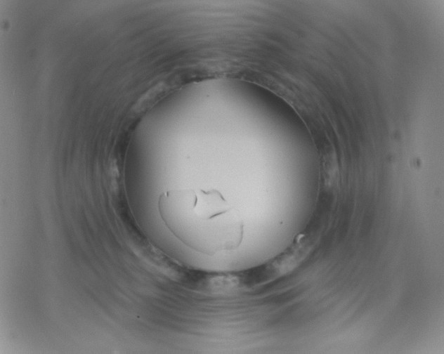 X0000071850279200607211900