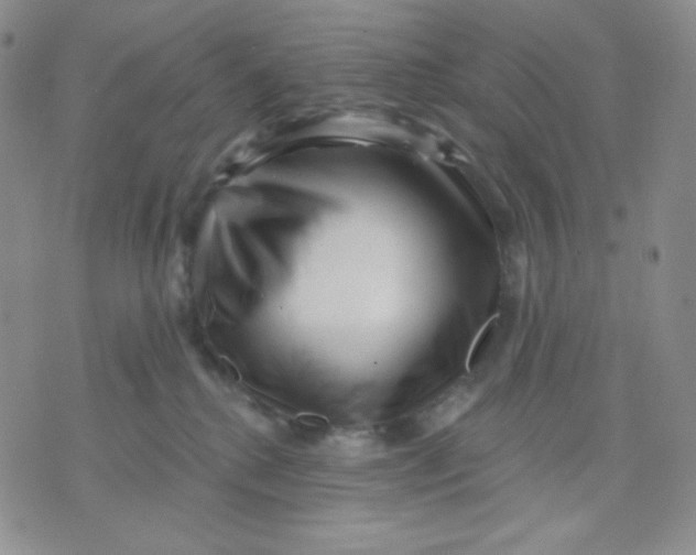 X0000071850280200607211900