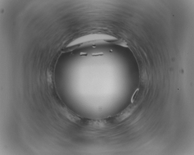 X0000071850282200607211900