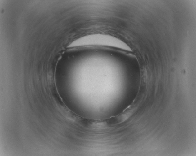 X0000071850283200607211900