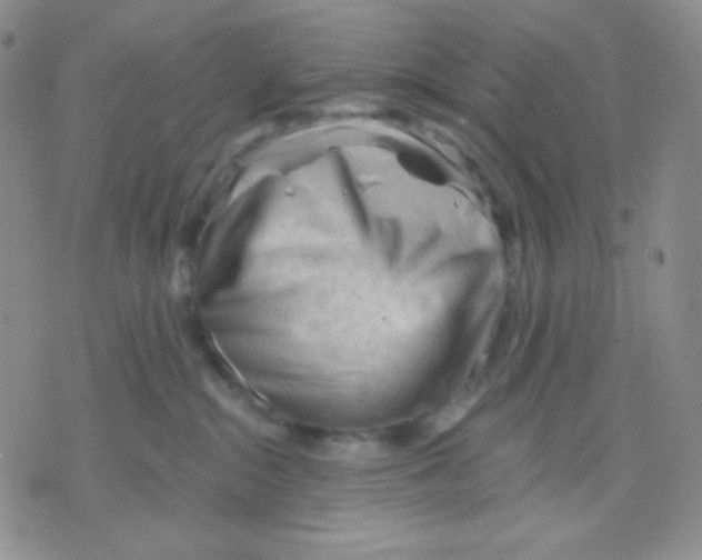 X0000071850284200607211900