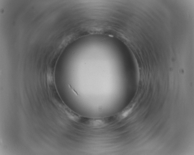 X0000071850287200607211900