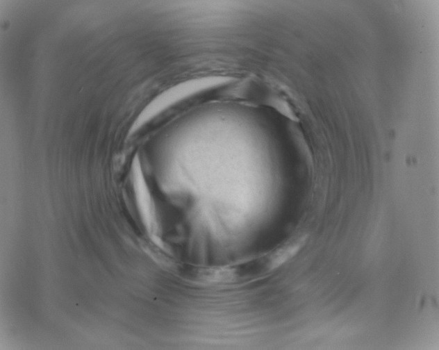 X0000071850288200607211900