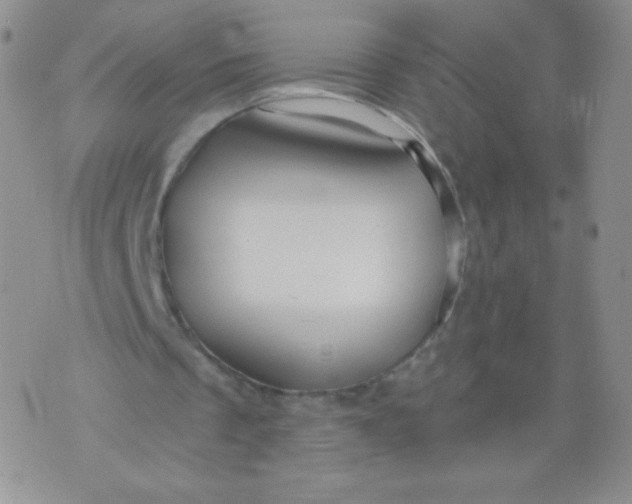 X0000071850289200607211859