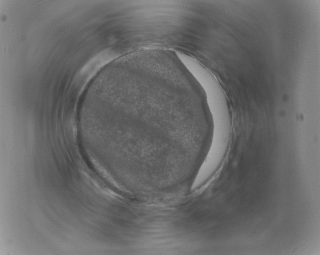 X0000071850290200607211859