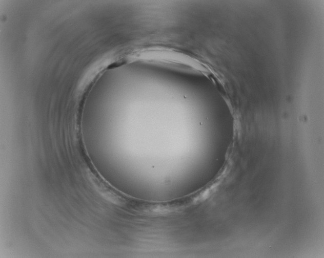 X0000071850293200607211859