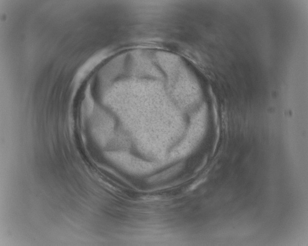 X0000071850294200607211859