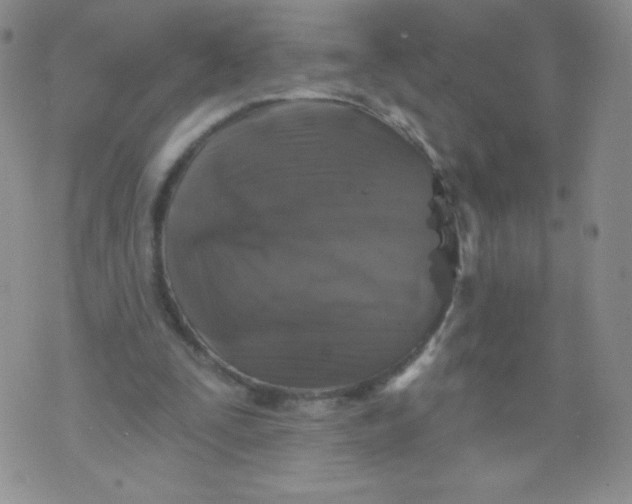 X0000071850295200607211859