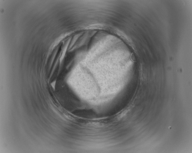 X0000071850298200607211859