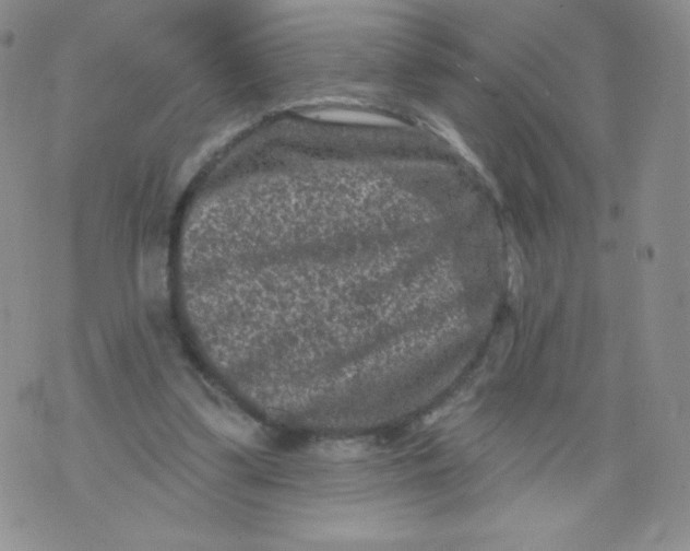 X0000071850299200607211859