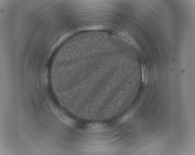 X0000071850300200607211859