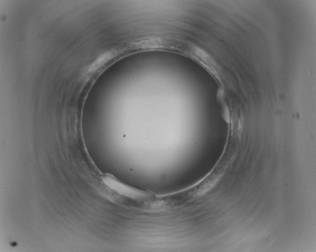 X0000071850301200607211859