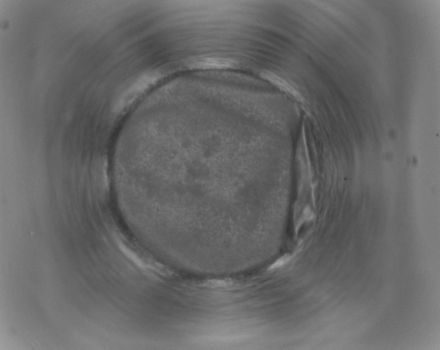 X0000071850302200607211859